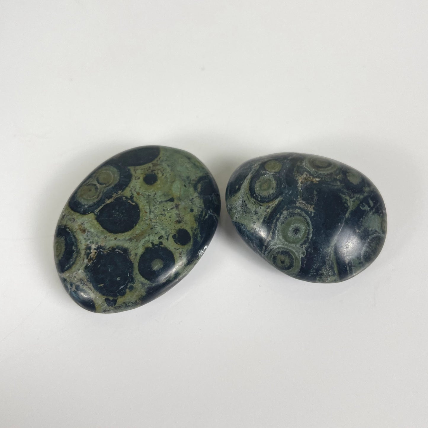 Kambaba Jasper Palm Stone