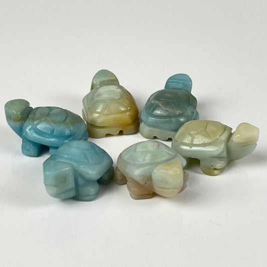 Caribbean Calcite Turtle
