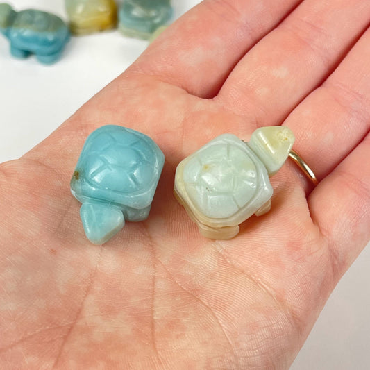 Caribbean Calcite Turtle