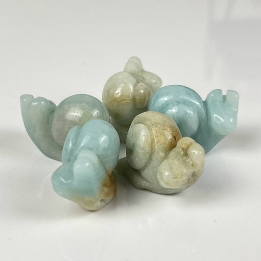 Caribbean Calcite Snail