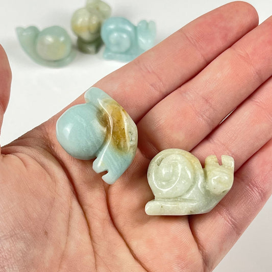 Caribbean Calcite Snail
