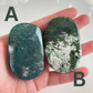 Moss Agate Palm Stones