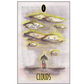 Shadowland Lenormand