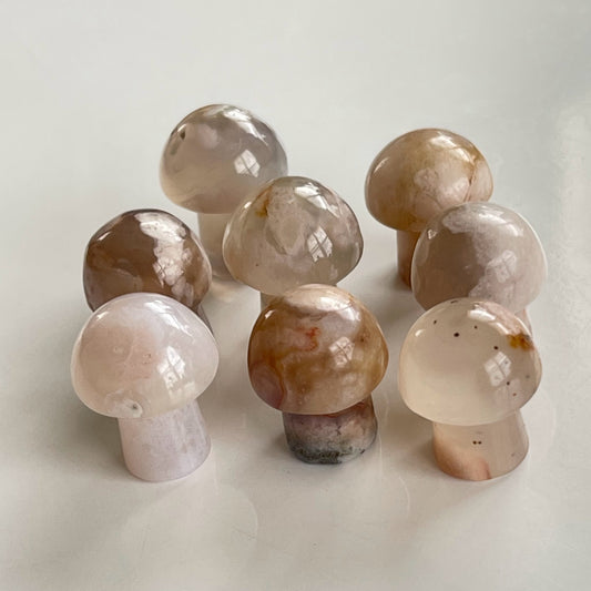 Flower Agate Mushroom