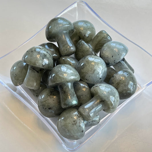 Labradorite Mushroom