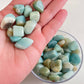 Caribbean Calcite Mini Tumbles