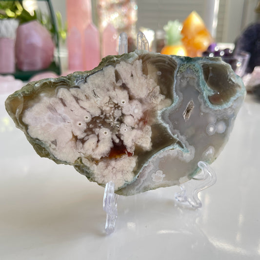 Flower Agate Large Slab