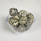 Dalmatian Jasper Tumble
