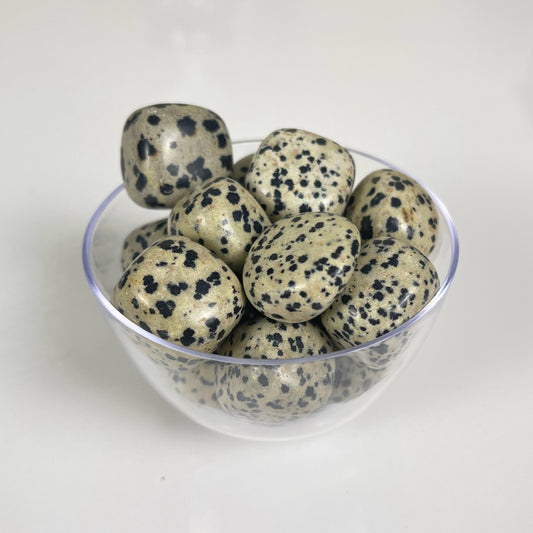 Dalmatian Jasper Tumble
