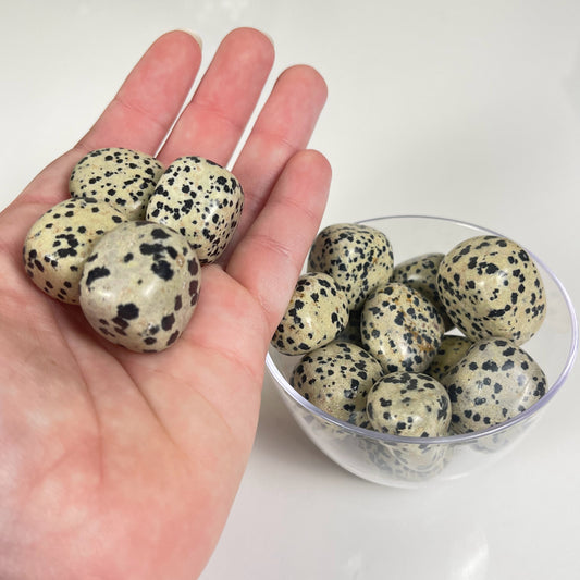 Dalmatian Jasper Tumble
