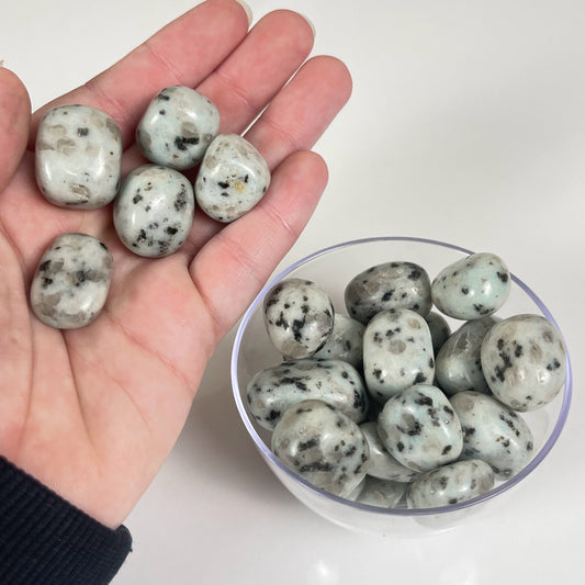 Kiwi Jasper Tumble