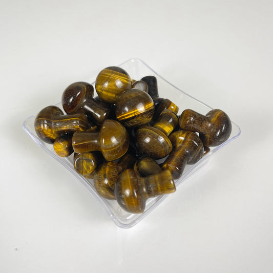 Tigers Eye Mushrooms