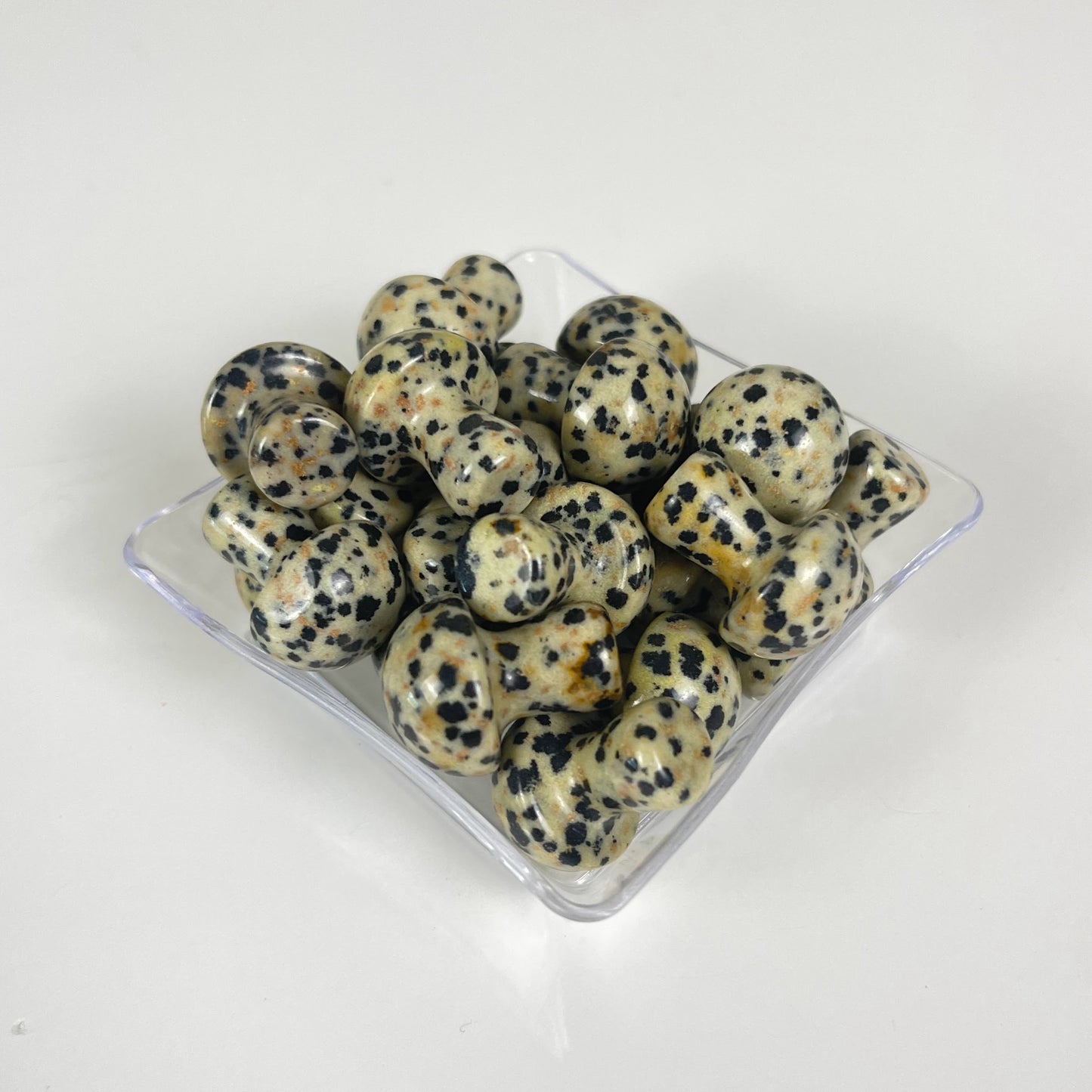 Dalmatian Jasper Mushroom