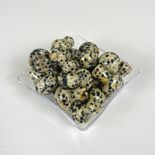 Dalmatian Jasper Mushroom