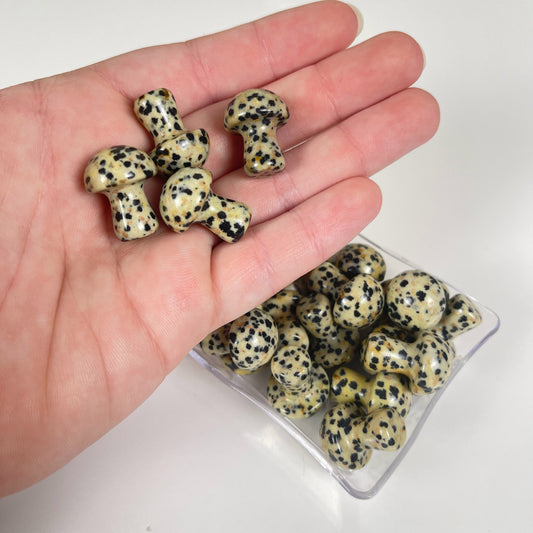 Dalmatian Jasper Mushroom